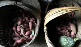 吃瓜的老许,瓜界风云人物背后的故事