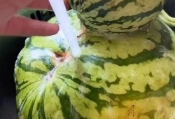 搞笑视频配音吃瓜,笑料横生！搞笑配音吃瓜大揭秘