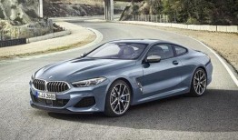 招远宝马事件吃瓜,一场悲剧引发的深思与反思