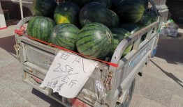 福臻小区吃瓜,吃瓜群众的热议焦点