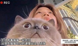 猫猫吃瓜网,揭秘娱乐圈那些不为人知的幕后故事