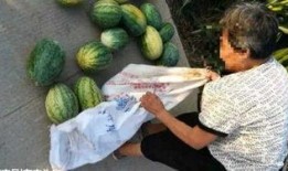 长春近期热门吃瓜事件,揭秘近期爆红吃瓜事件背后的真相