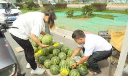 15岁吃瓜,揭秘网络舆论背后的真相