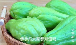 吃佛手瓜怎么吃才好吃,解锁最佳食用方法