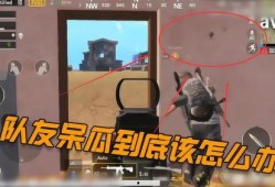 吃鸡呆瓜队友,呆瓜队友的欢乐日常
