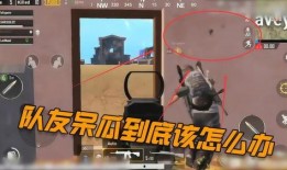 吃鸡呆瓜队友,呆瓜队友的欢乐日常