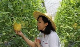 青州吃瓜职业女子,揭秘吃瓜职业女子的独特魅力