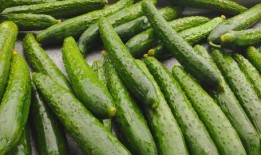 梦见自己吃绿瓜,揭秘绿瓜梦境的神秘寓意