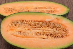 吃哈密瓜的场景,哈密瓜的甜蜜邂逅