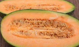 吃哈密瓜的场景,哈密瓜的甜蜜邂逅