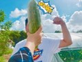 小紫吃瓜,揭秘娱乐圈那些不为人知的幕后故事
