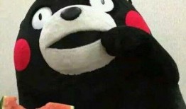 吃瓜群众9,网络热词背后的故事与影响