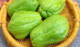 吃佛手瓜怎么吃才好吃,解锁最佳食用方法