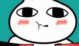 吃瓜群众背包,揭秘背包中的秘密世界