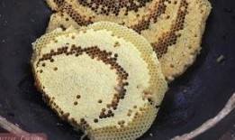 吃瓜看到虫子的视频