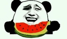 吃瓜群众中国香港