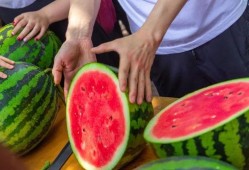 吃瓜学财经,揭秘财经圈背后的趣味故事