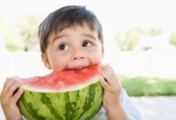 baby每日吃瓜,营养与乐趣的完美融合