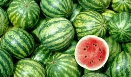 瓜能用来怎么吃,尽享夏日清凉美食之旅