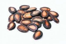 吃瓜为什么会拉屎