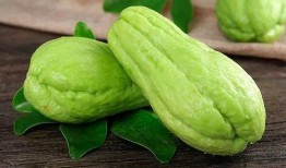 吃佛手瓜怎么吃才好吃,解锁最佳食用方法