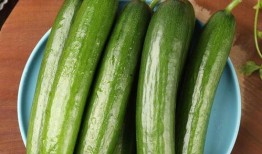 吃瓜重3斤,揭秘那颗重达3斤的神奇瓜果