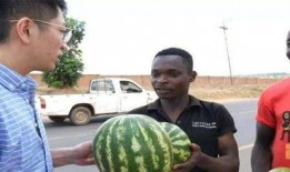 打架的时候吃瓜,围观打架现场，瓜分激情瞬间