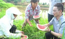 吃瓜村民照片,照片背后的故事与真相