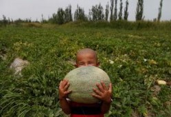 不知吃瓜冲锋人,一场关于成长的冒险之旅