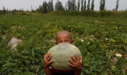 不知吃瓜冲锋人,一场关于成长的冒险之旅