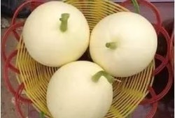 带你吃瓜买苹果,揭秘水果市场的那些事儿