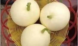 带你吃瓜买苹果,揭秘水果市场的那些事儿