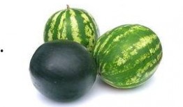 青州西城吃瓜事件,一场引发热议的街头冲突纪实