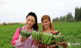 白某人吃瓜群众