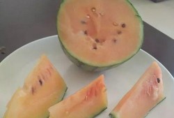 吃瓜要吃瓤,为何瓜瓤才是美味所在