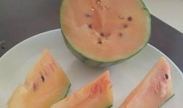 吃瓜要吃瓤,为何瓜瓤才是美味所在