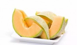 新屋吃哈密瓜,哈密瓜香满园