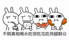 吃瓜群众的英文解释,揭秘“Eating the Watermelon”背后的吃瓜群众现象