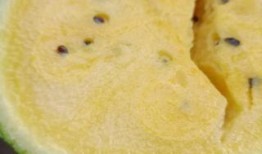 小凤瓜怎么吃美食