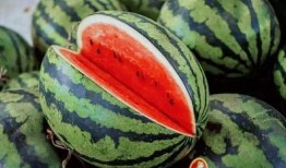 近期吃瓜密码,一网打尽娱乐圈风云