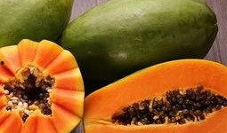 丰与果吃瓜,瓜果飘香，共享丰收喜悦