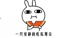 吃瓜群众的正确吃瓜方式,如何正确享受瓜界盛宴