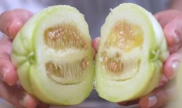 捧瓜带皮吃,尽享捧瓜带皮之乐