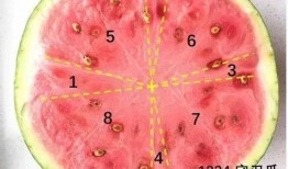 法学吃瓜,法律视角解读网络热点事件