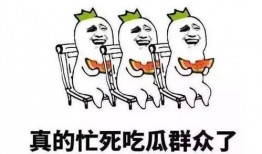 吃瓜语言运用,揭秘明星们的“吃瓜”大战