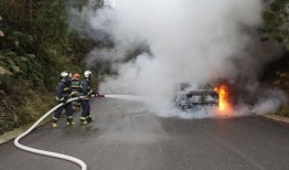 吃瓜追尾,一场意外的“瓜界”风波