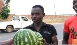 吃瓜精品69,一场视觉与味蕾的双重盛宴