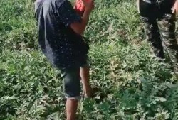 吃瓜村民照片,照片背后的故事与真相