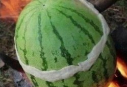 火里吃瓜