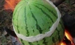 火里吃瓜